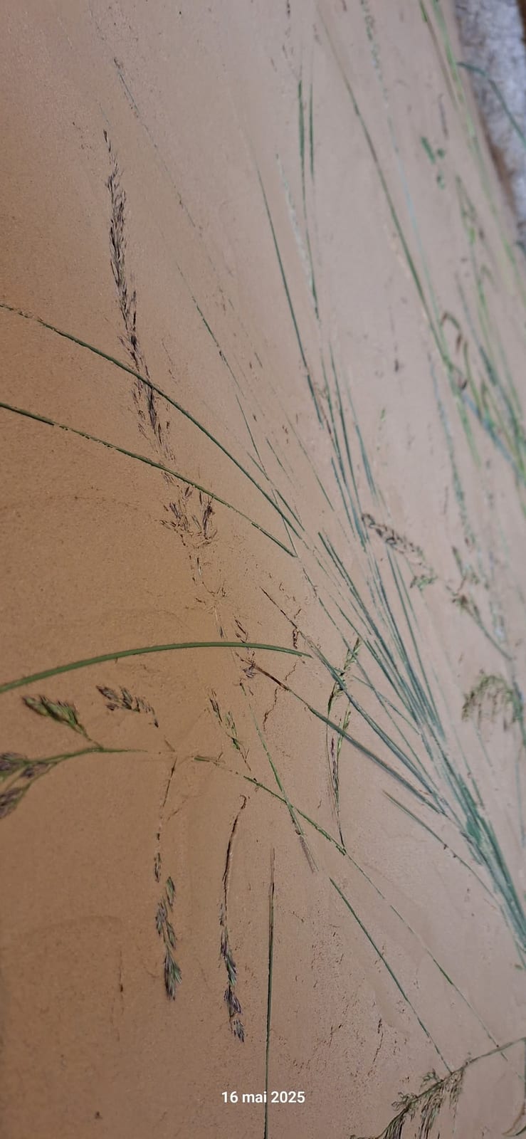 Photo de l'atelier « Enduits terre (2/2) : tes finitions, du brut au miroir » (3 sur 11)